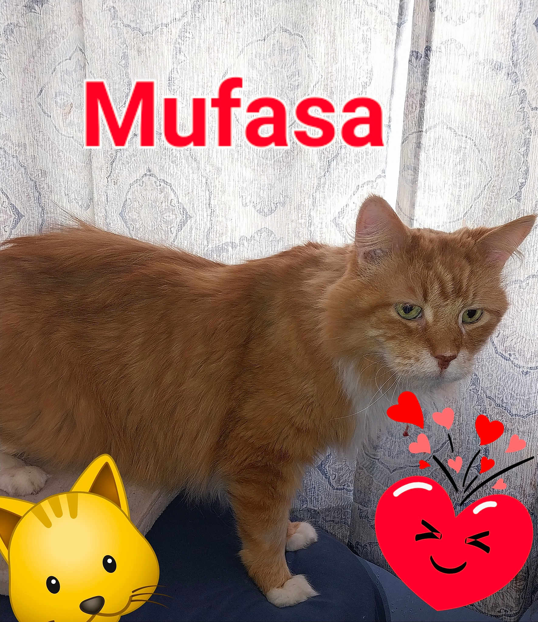 Mufasa