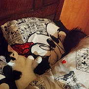 Nayla a rejoint le concours — aidez-le/la à gagner de superbes lots ! cat, black_and_white, bed, bedding, blanket, cartoon, comic, comfort, cute, domestic_cat, feline, fur, indoor, lying_down, mammal, pet, resting, sleepy, soft, whiskers