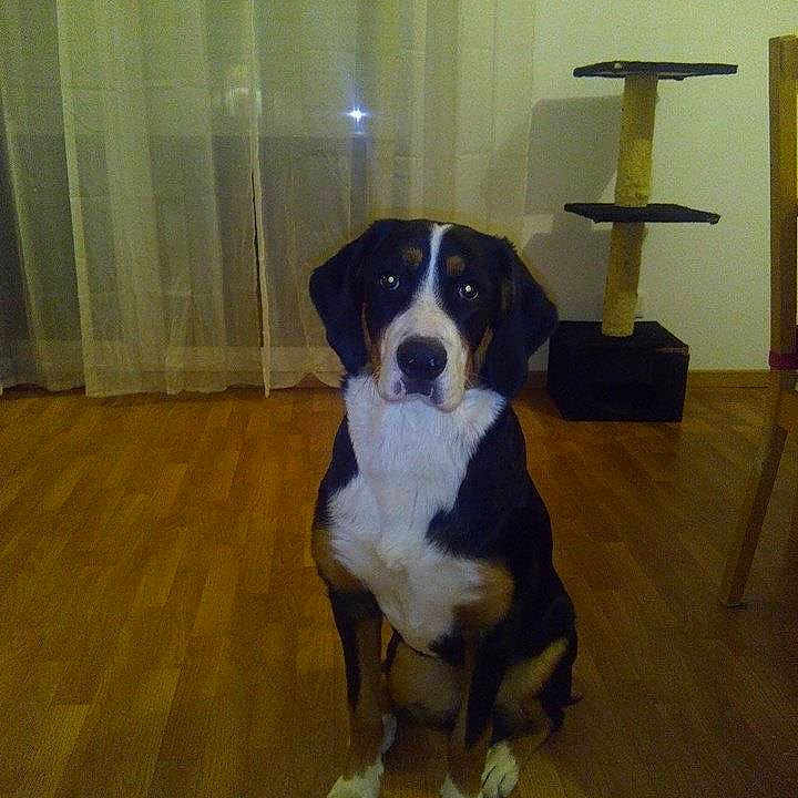 Jaska
