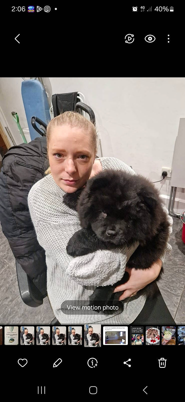 Luna joined the competition — help win amazing prizes! ancient_dog_breeds, carnivore, companion_dog, corgi_chihuahua, dog, dog_breed, font, fur, happy, liver, non_sporting_group, pekingese, photo_caption, puppy_love, sitting, snout, sporting_group, sunglasses, toy_dog, working_animal