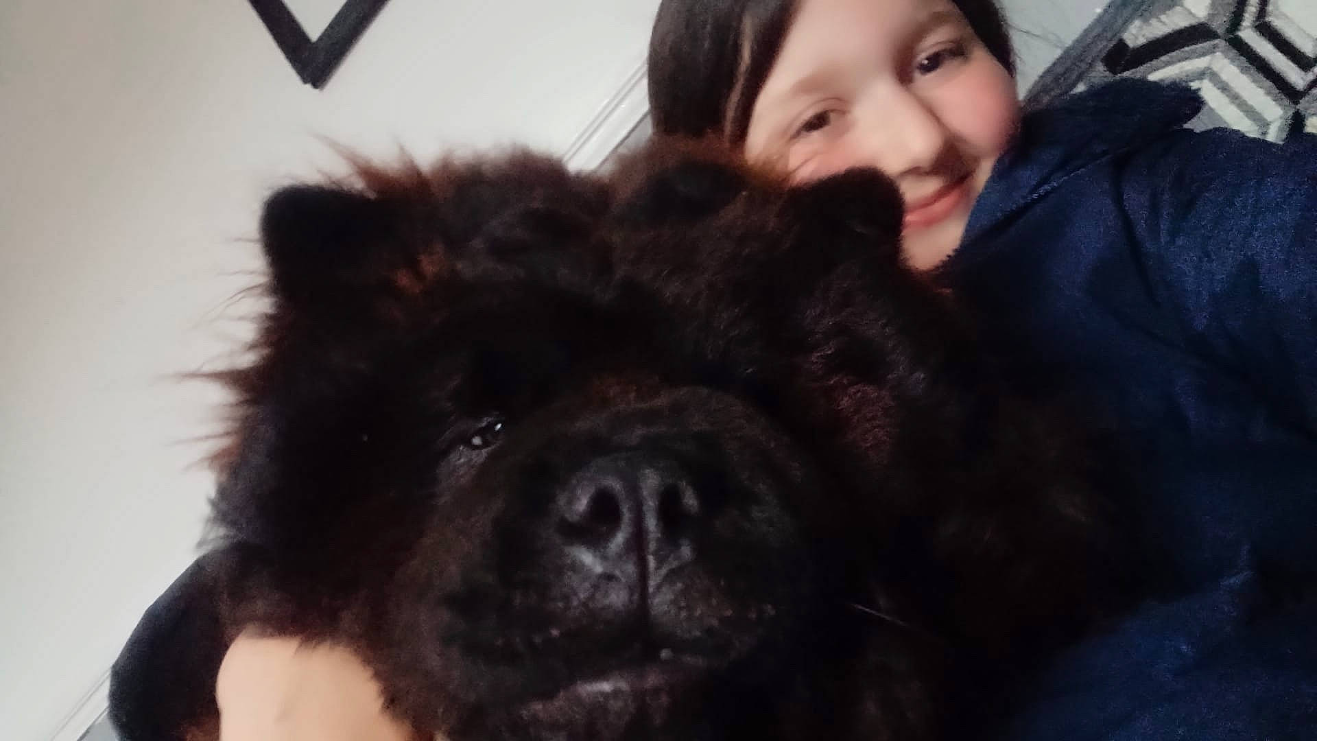 Luna joined the competition — help win amazing prizes! ancient_dog_breeds, canidae, carnivore, companion_dog, dog, dog_breed, fur, gesture, happy, liver, non_sporting_group, nose, smile, snout, sporting_group, whiskers, working_animal