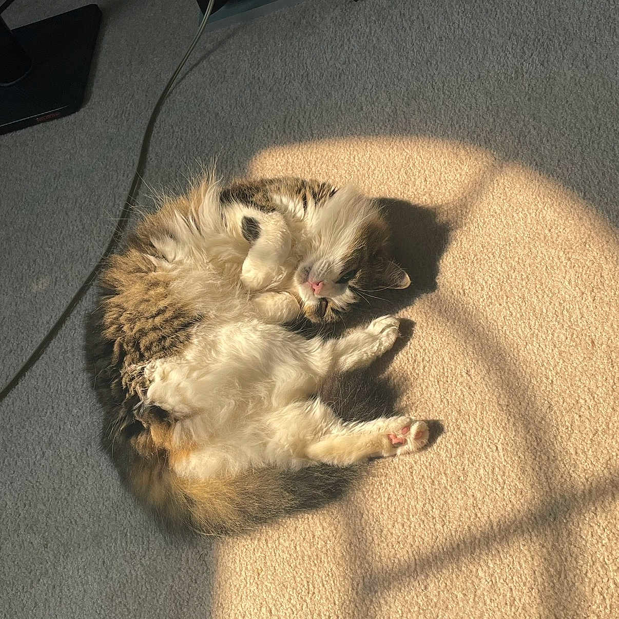 Jade