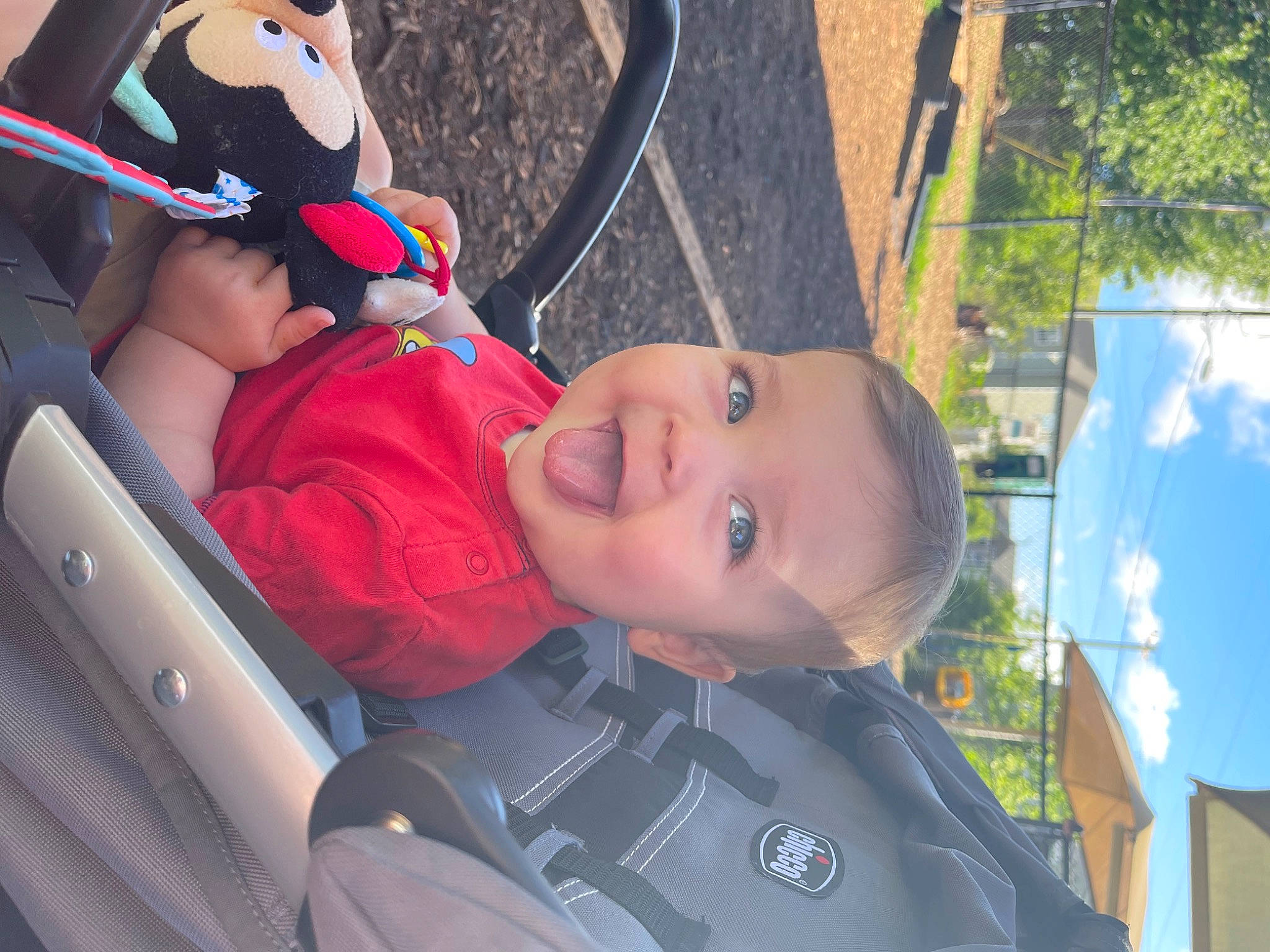 Finnley joined the competition — help win amazing prizes! automotive_exterior, baby, baby_carriage, car_seat, child, cool, eye, fun, happy, hat, leisure, motor_vehicle, mouth, organ, person, plant, skin, smile, toddler, tree