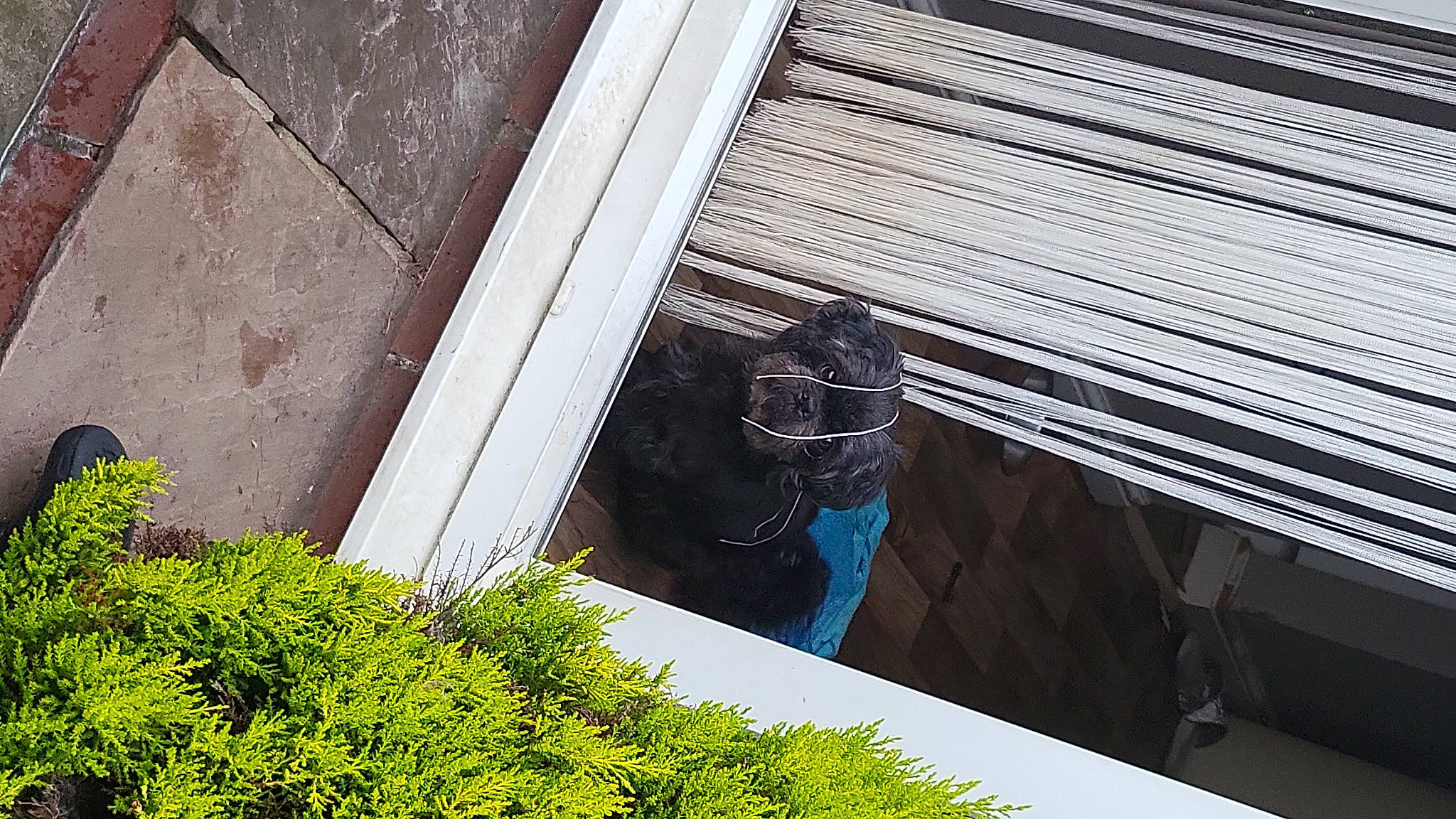 Lexi joined the competition — help win amazing prizes! architecture, beam, daylighting, daytime, design, facade, glove, grass, groundcover, hat, personal_protective_equipment, plant, roof, shade, shadow, shrub, siding, sunglasses, tints_and_shades, wood