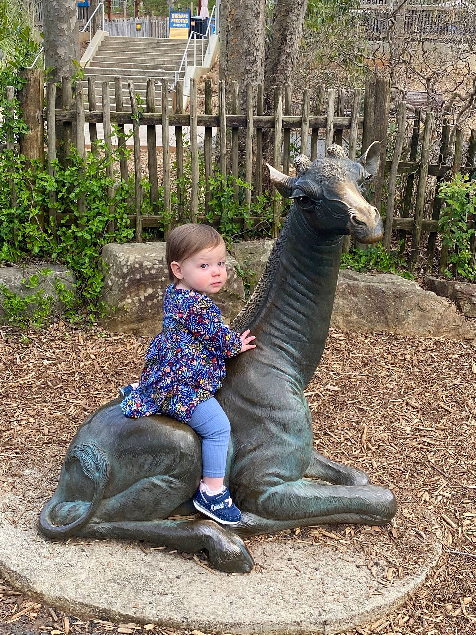 Millie joined the competition — help win amazing prizes! art, botany, fawn, fence, garden, giraffidae, grass, happy, landscape, leaf, leg, leisure, people_in_nature, person, plant, recreation, smile, terrestrial_animal, toddler, tree