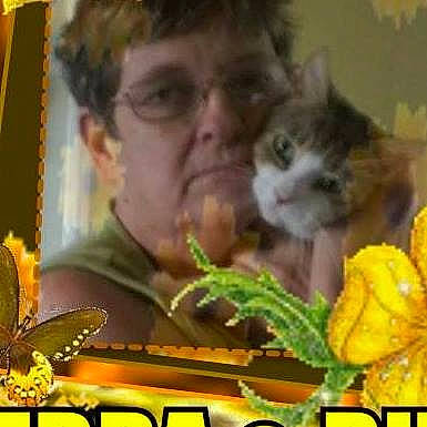 Rhino is registered to the contest to win money with this photo: adaptation, carnivore, cat, felidae, kitten, organism, photo_caption, plant, play, small_to_medium_sized_cats, whiskers