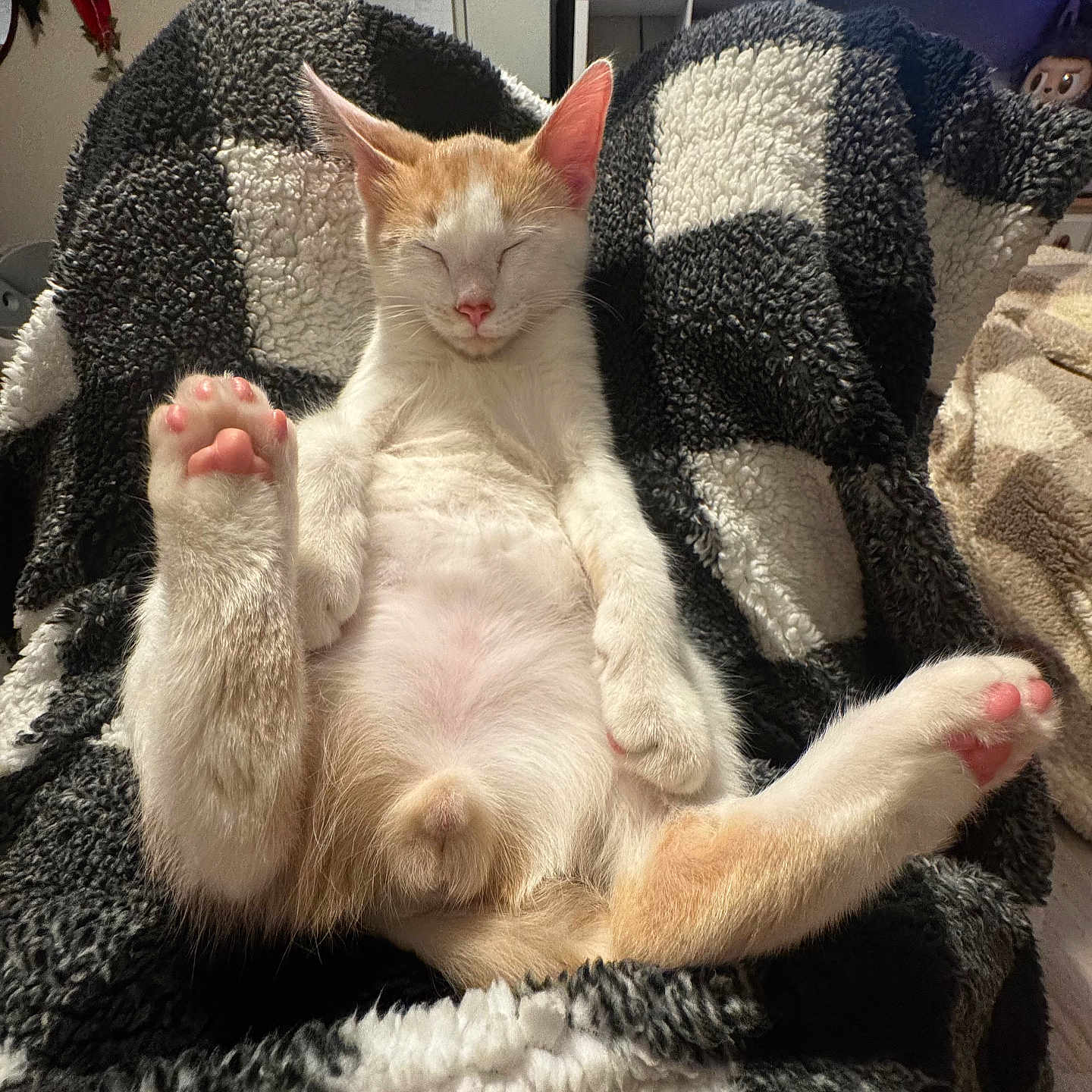Yuki