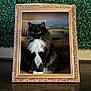 cat, black_and_white, fluffy, portrait, picture_frame, wooden_floor, green_wall, decor, indoor, animal, pet, feline, whiskers, sitting, fur, art, background, still_life, domestic, eyes