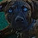 Sprocket