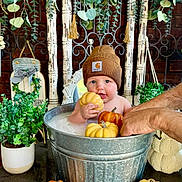 Xander is registered to the contest to win money with this photo: baby, child, pumpkin, beanie, metal_tub, milk_bath, greenery, autumn, decor, hands, table, plant, orange, yellow, cute, indoor, portrait, fall, seasonal, smiling