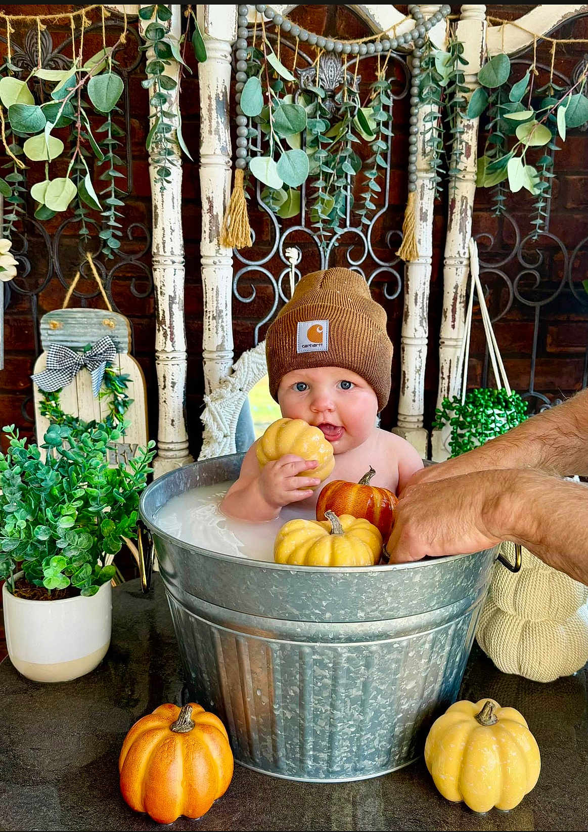 Xander is registered to the contest to win money with this photo: baby, child, pumpkin, beanie, metal_tub, milk_bath, greenery, autumn, decor, hands, table, plant, orange, yellow, cute, indoor, portrait, fall, seasonal, smiling