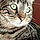 Oliver