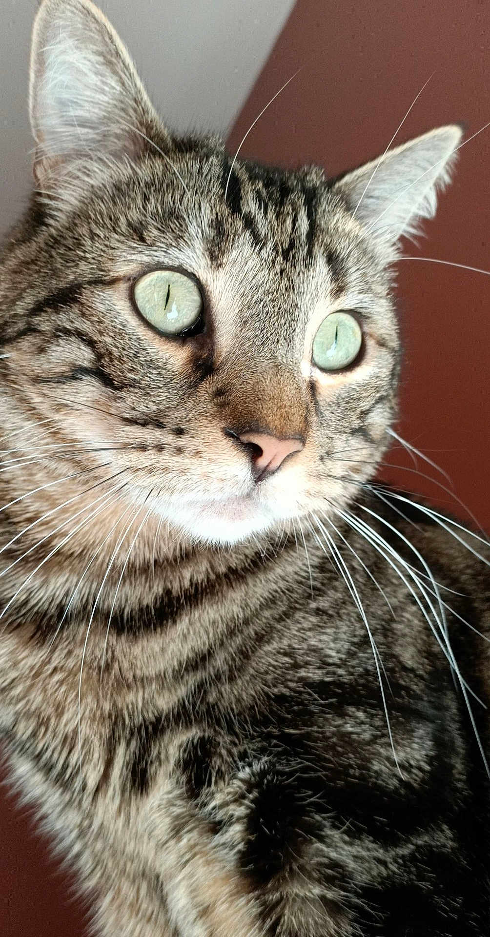 Oliver
