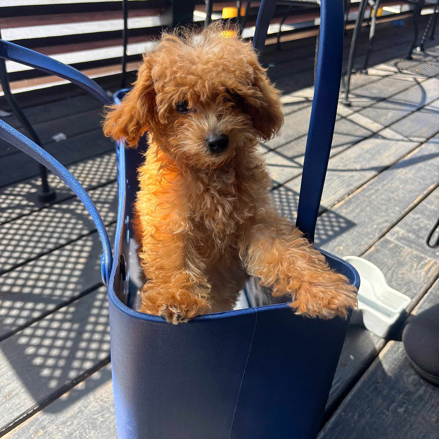 Astro