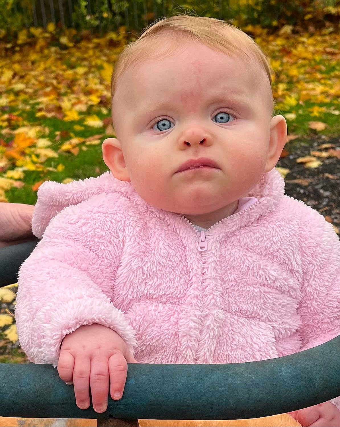 Emilia joined the competition — help win amazing prizes! baby, child, pink_jacket, autumn, leaves, outdoor, hand, face, blue_eyes, curly_hair, fence, grass, nature, person, portrait, seasonal, winter_clothing, young_child, expression, cute