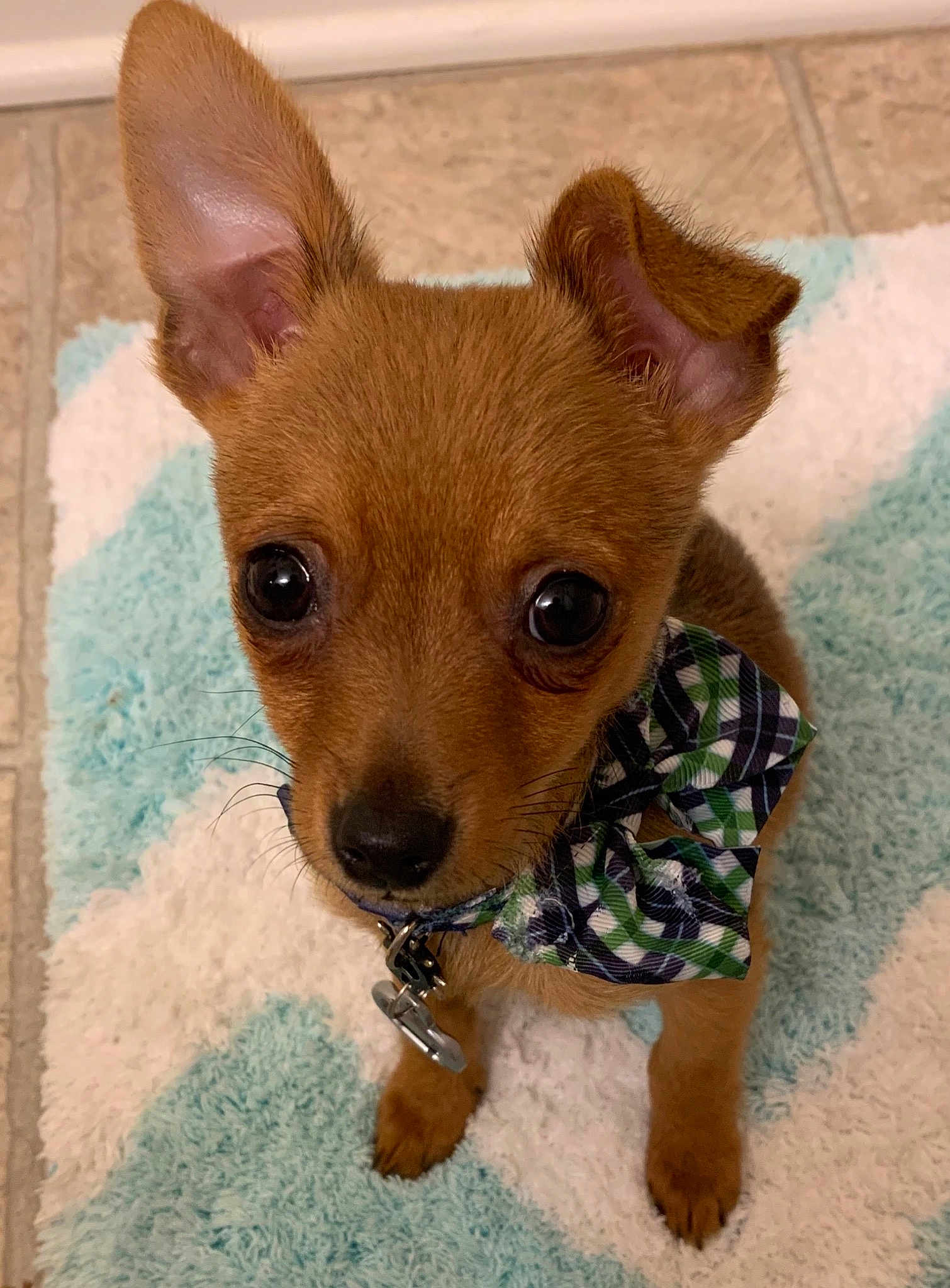 Roscoe