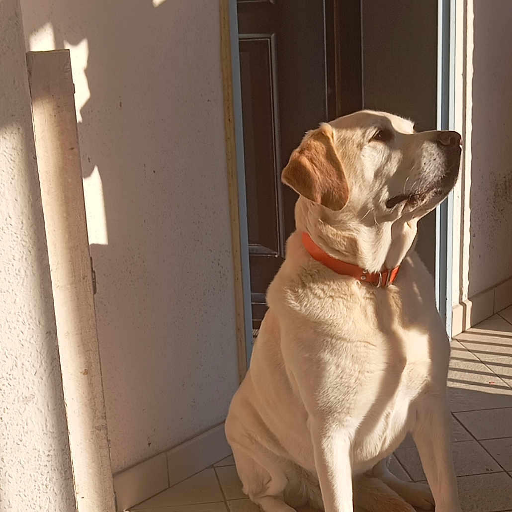 Max
