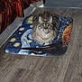 cat, tabby, pet, indoor, floor, mat, starry_night, art, curious, looking_up, fur, animal, whiskers, ears, relaxed, domestic, wood_floor, fabric, pattern, home