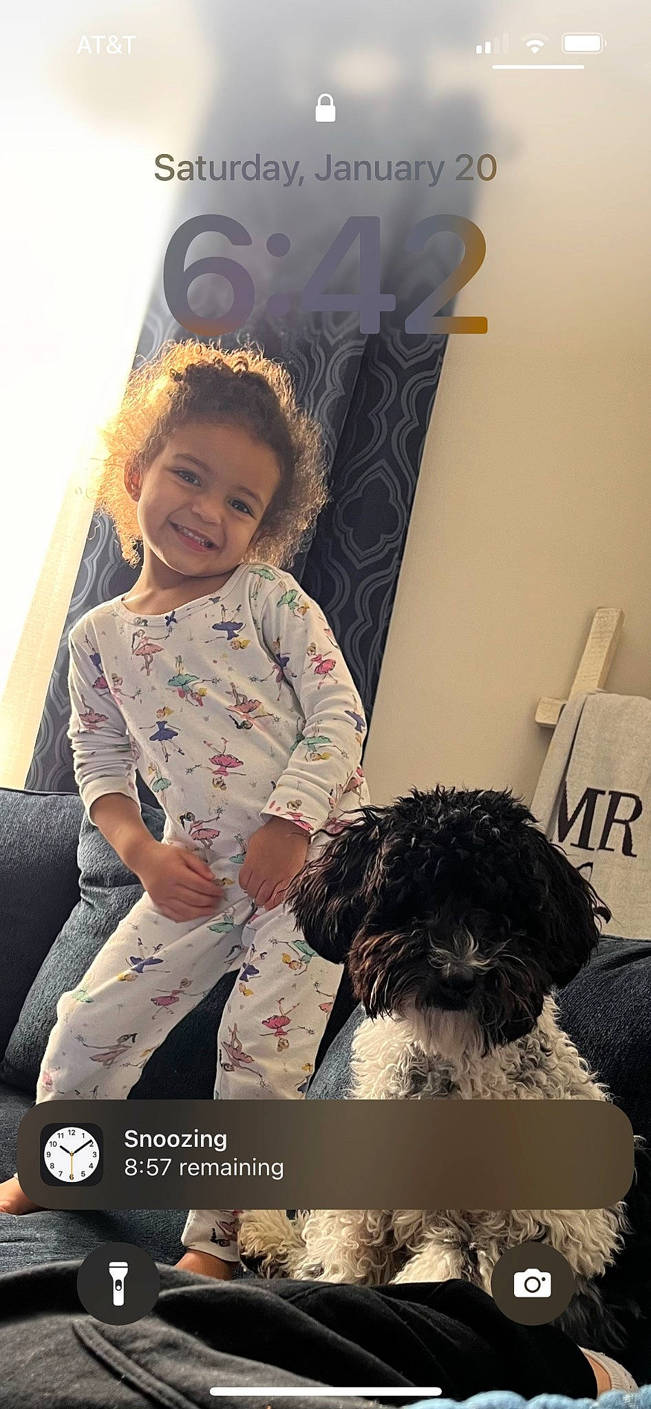 Avaya joined the competition — help win amazing prizes! black_hair, canidae, carnivore, child, companion_dog, dog, dog_breed, fashion_accessory, fur, hairstyle, happy, joy, labradoodle, person, puppy_love, smile, snout, sporting_group, terrier, toddler