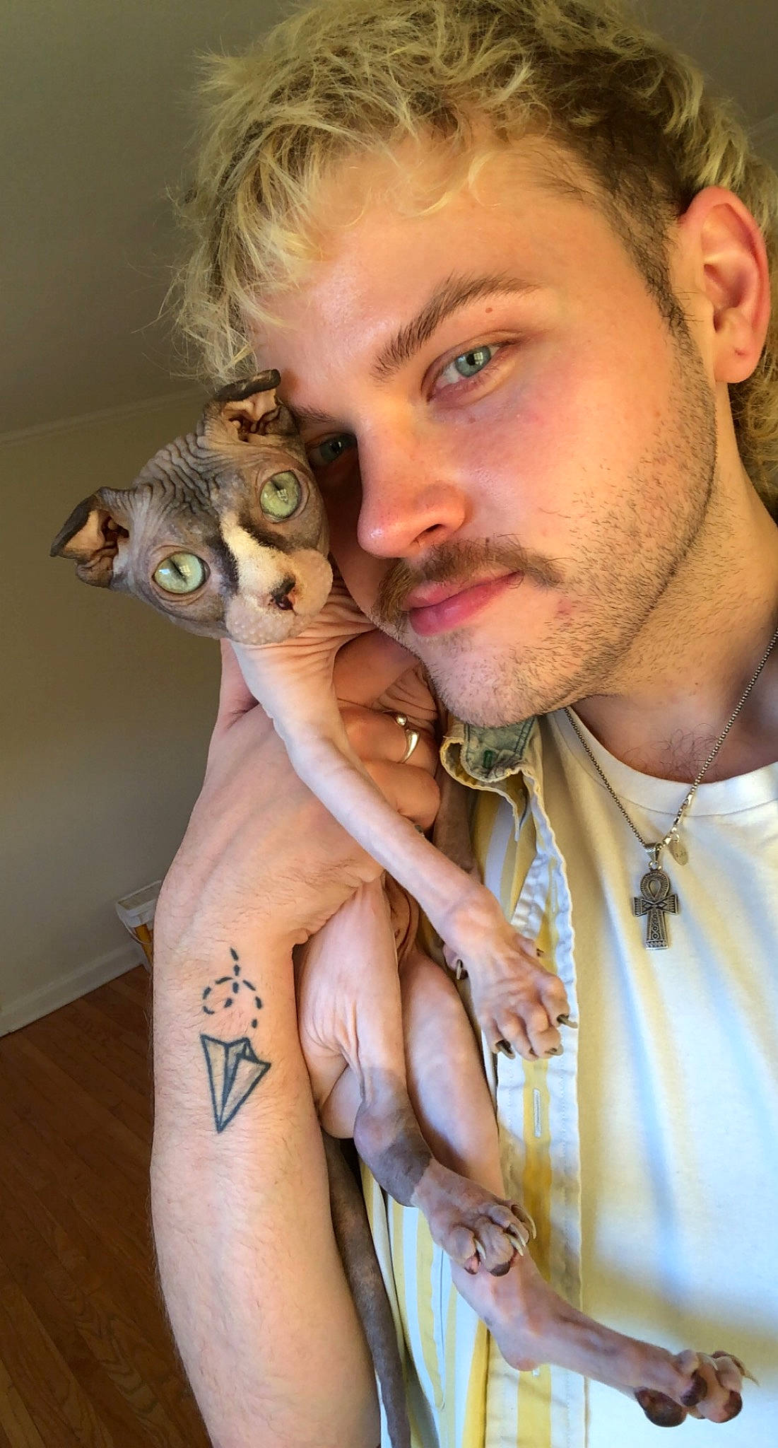 Frida is registered to the contest to win money with this photo: beard, cat, cool, ear, eye, eyebrow, eyelash, fawn, felidae, gesture, hair, hairstyle, head, human_body, jaw, joint, neck, nose, organ, skin