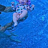 baby, child, swimming_pool, water, floating, sunhat, pacifier, mickey_mouse, swimsuit, hands, adult, summer, outdoor, blue, cute, infant, support, relaxing, playtime, splash