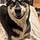 Roxy