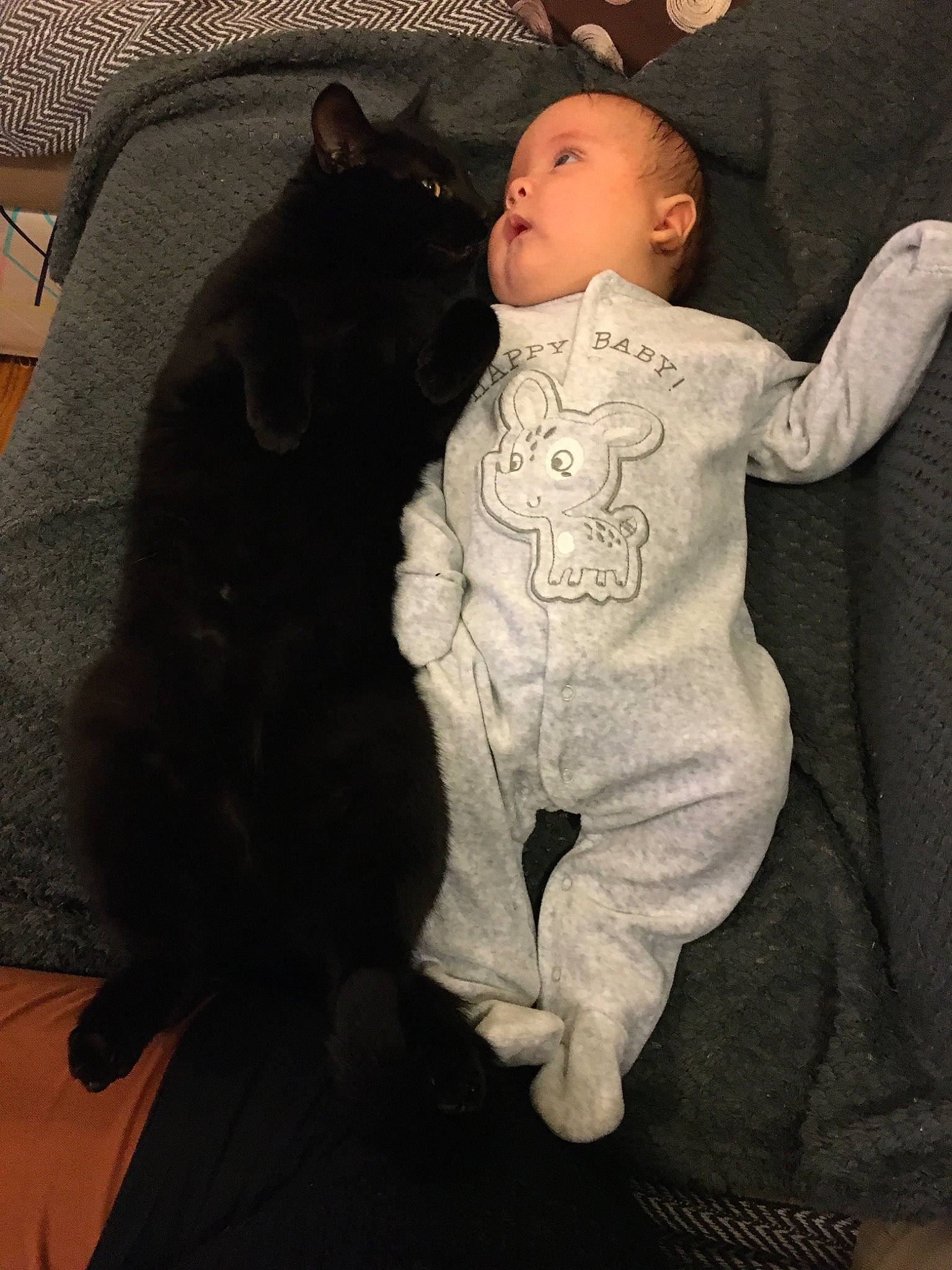 Mougli a rejoint le concours — aidez-le/la à gagner de superbes lots ! baby, black_hair, cheek, child, ear, fur, leg, nose, sitting, skin, toddler