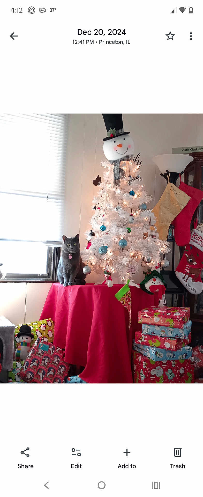 Lilo joined the competition — help win amazing prizes! cat, christmas_tree, holiday_decorations, presents, stockings, snowman, ornaments, table, red_tablecloth, window, lamp, indoor, festive, decor, wrapped_gifts, holiday, smiling_snowman, gray_cat, christmas, cozy