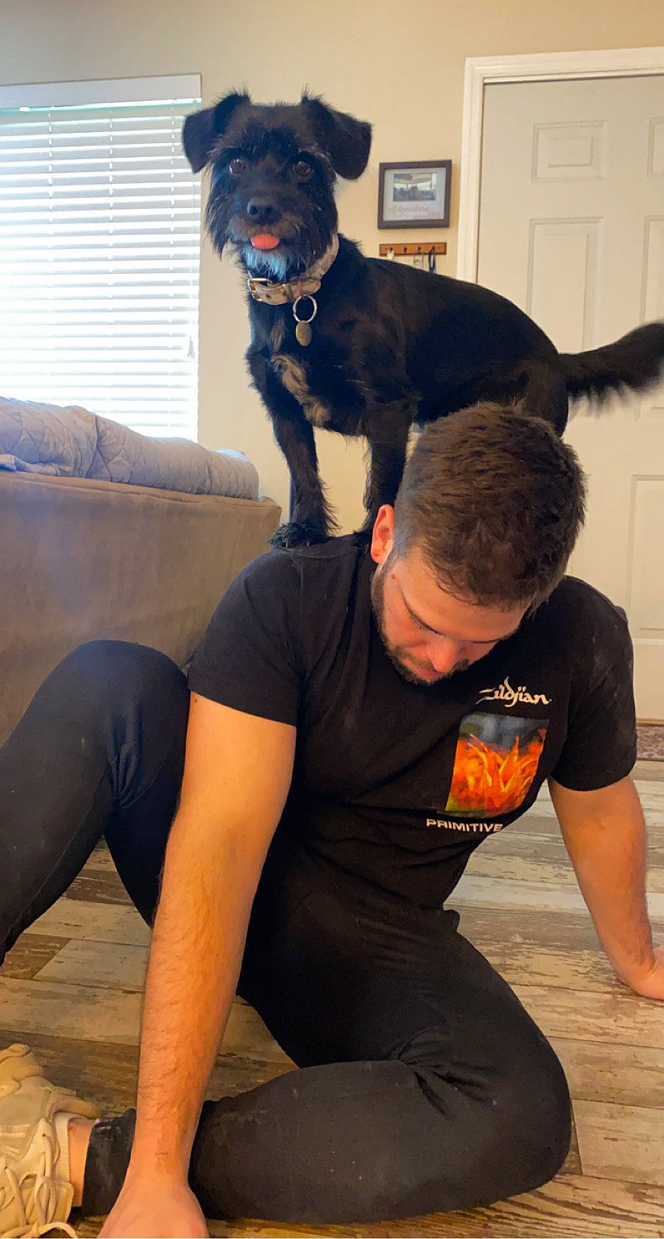 Riley is registered to the contest to win money with this photo: black, blue, carnivore, collar, companion_dog, dog, dog_breed, dog_collar, elbow, fur, happy, human_leg, knee, leisure, sitting, sleeve, snout, sportswear, t_shirt, thigh