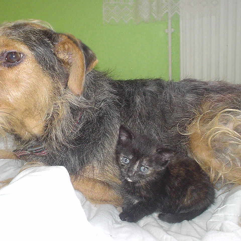 Teffy a rejoint le concours — aidez-le/la à gagner de superbes lots !