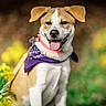 Baya participe au concours pour gagner de l'argent avec cette photo :