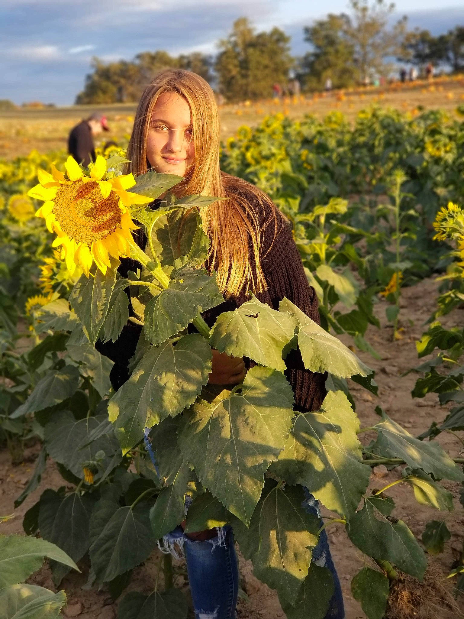 Hali is registered to the contest to win money with this photo: agriculture, annual_plant, calabaza, cloud, field, flower, flowering_plant, flowerpot, grass, green, groundcover, happy, people_in_nature, person, petal, plant, sky, smile, sunflower, tree