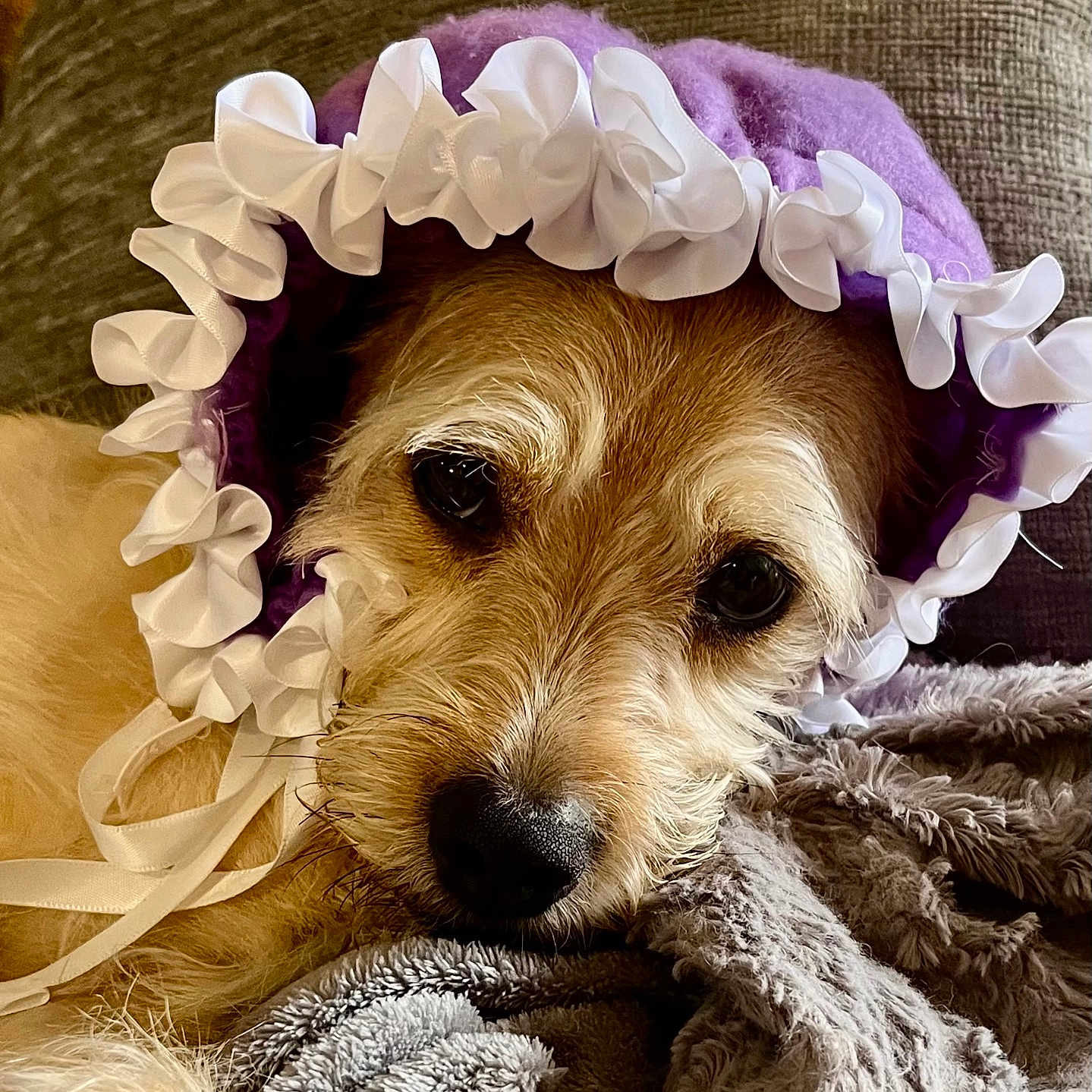 Trixie