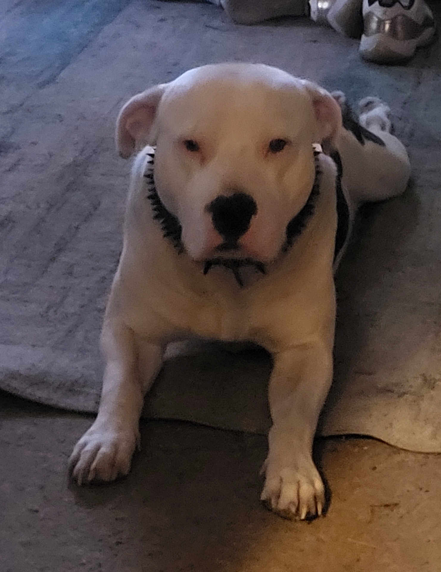 Linus