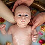 baby, bath, care, closeup, cute, expression, flower, hands, infant, milky_bath, newborn, person, portrait, relaxation, rose_petals, skin, soft_light, tattoo, vibrant_colors, water