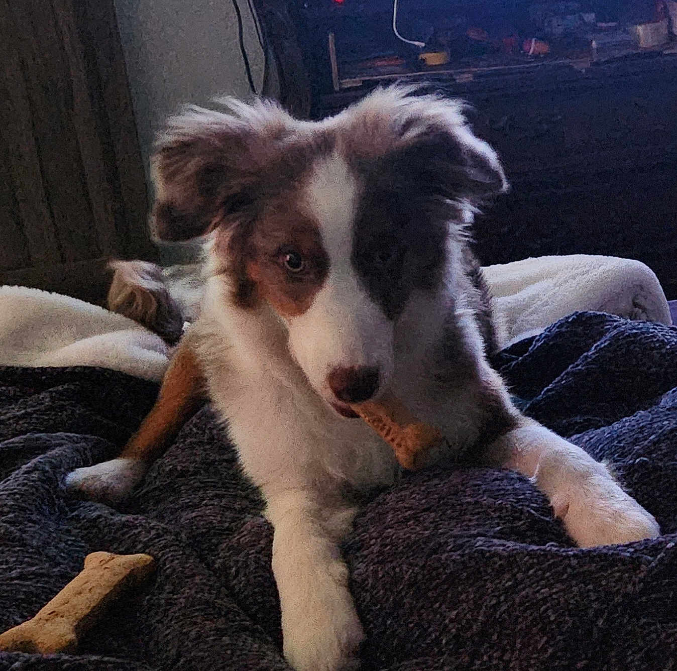 Coco