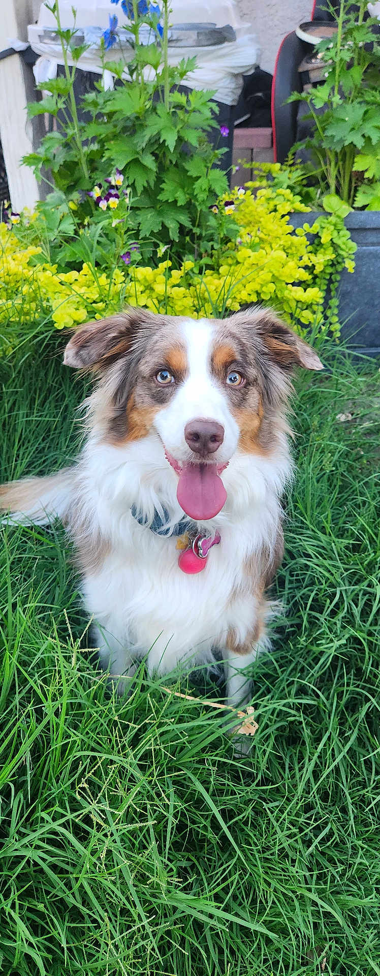 Coco