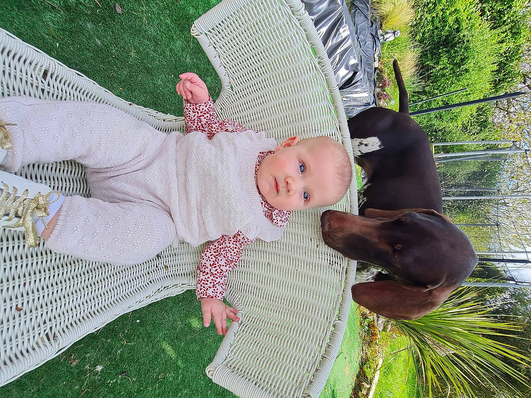 Lya a rejoint le concours — aidez-le/la à gagner de superbes lots ! baby, baby_products, baby_toddler_clothing, child, comfort, dress, fashion_accessory, grass, green, hat, lawn, leisure, linens, pattern, person, plant, sitting, toddler, tree, yard