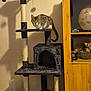 Perle participe au concours pour gagner de l'argent avec cette photo : abyssinian, animal, architecture, bookcase, building, cat, closet, cupboard, electricaldevice, furniture, hardwood, indoors, livingroom, microphone, pet, plywood, room, shelf, sphere, wood