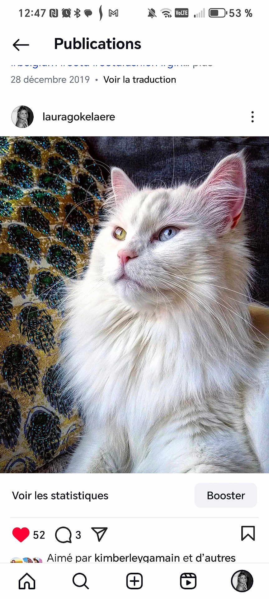 Vanille