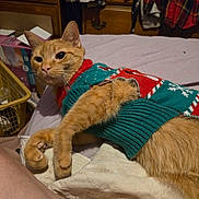 Gizmo joined the competition — help win amazing prizes! cat, orange_tabby, sweater, holiday_sweater, bed, blanket, indoor, furniture, cozy, relaxed, pet, animal, clothing, room, casual, resting, fur, domestic, cute, comfort