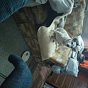 Angel is registered to the contest to win money with this photo: art, auto_part, automotive_tire, carmine, elbow, flooring, human_leg, knee, machine, room, sculpture, vehicle_door, wood