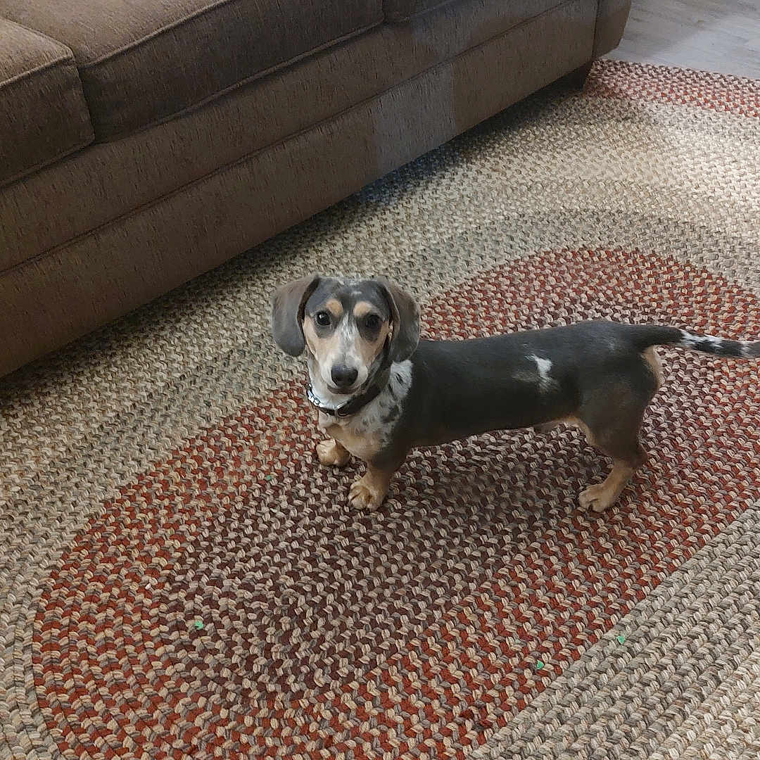 Charlie