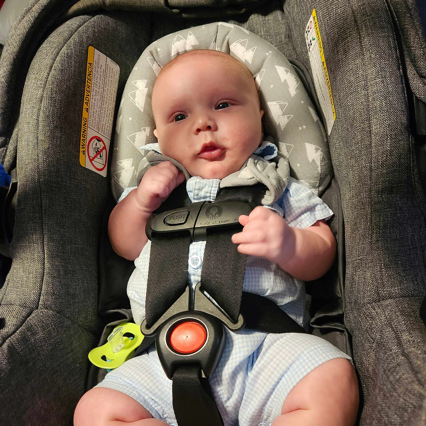 Spencer is registered to the contest to win money with this photo: baby, car_seat, car_seat_harness, child, child_seat, clothing, comfort, cute, expression, face, fingers, indoor, infant, legs, looking, safety, seat, skin, straps, young