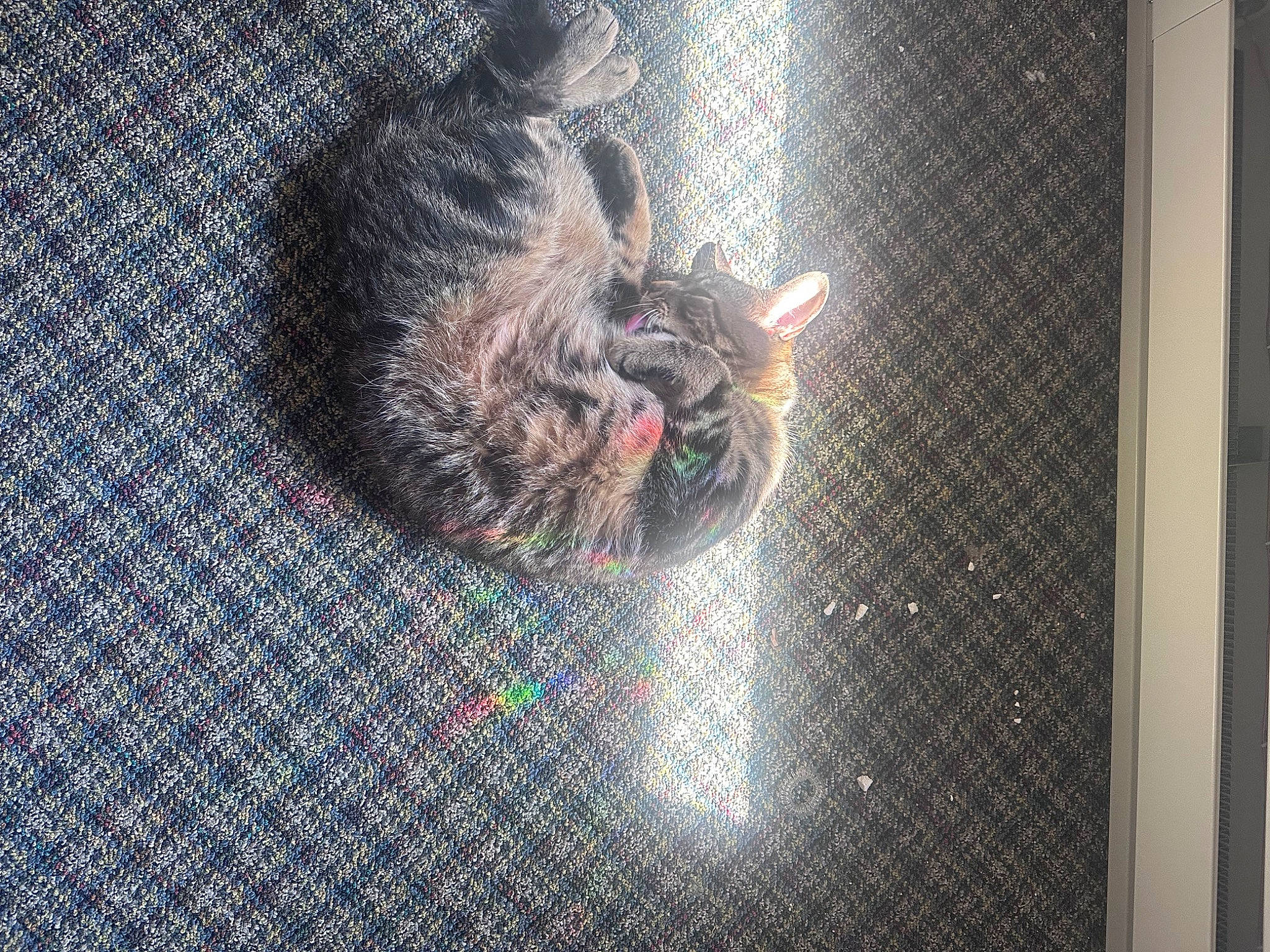 Caleb is registered to the contest to win money with this photo: art, asphalt, chain_link_fencing, circle, darkness, denim, event, glass, graphics, grey, mesh, metal, pattern, reflection, road_surface, space, tail, visual_arts, window, woven_fabric