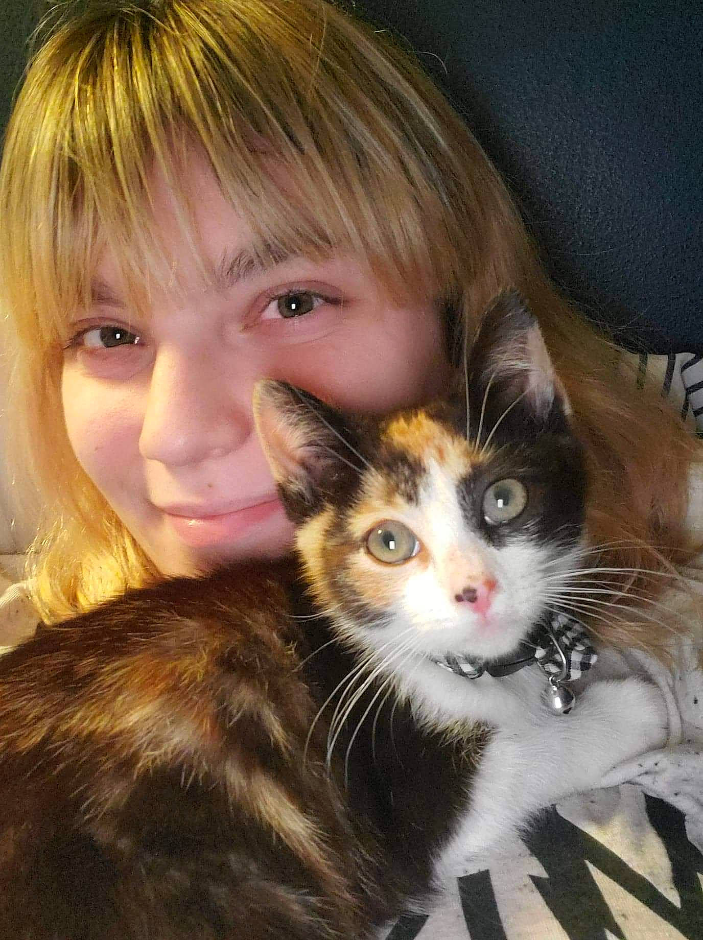 Delilah is registered to the contest to win money with this photo: bangs, carnivore, cat, cheek, ear, eye, eyebrow, facial_expression, fawn, felidae, hair, happy, human_body, iris, lap, nose, skin, small_to_medium_sized_cats, smile, whiskers