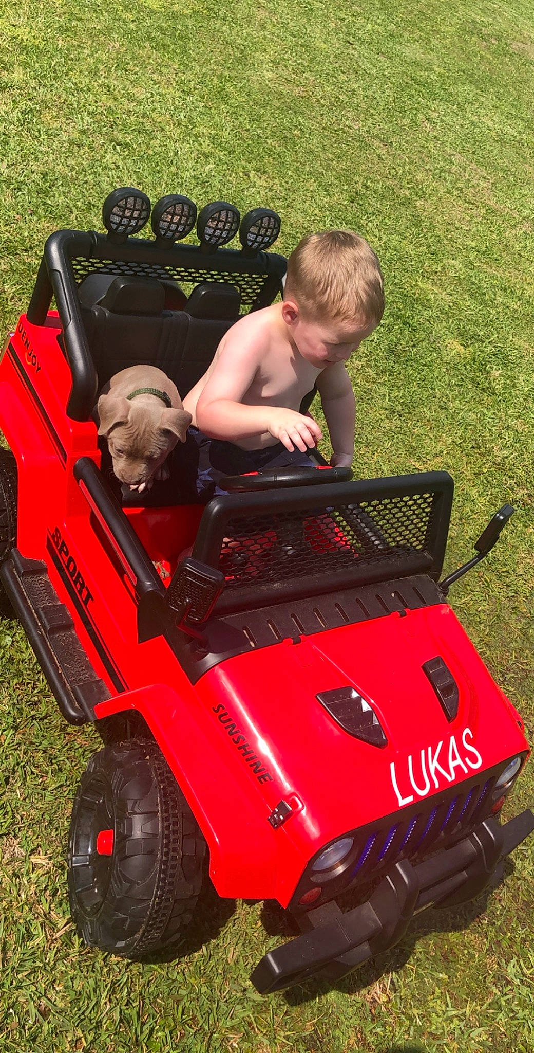 Lukas is registered to the contest to win money with this photo: auto_part, automotive_design, automotive_exterior, automotive_tire, automotive_wheel_system, baby, bumper, child, fender, fun, grass, leisure, motor_vehicle, person, play, sitting, tire, toddler, tread, vehicle