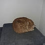 cat, orange_tabby, resting, curled_up, cat_perch, indoor, corner, gray, fur, pet, animal, sleepy, cozy, whiskers, ears, tail, feline, quiet, home, domestic