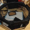 Tinours a rejoint le concours — aidez-le/la à gagner de superbes lots ! dog, puppy, pet, animal, playpen, crate, indoor, home, kibble, dog_food, puppy_pads, mesh, black, brown, small_dog, peeking, standing, pet_supplies, wood_floor, household
