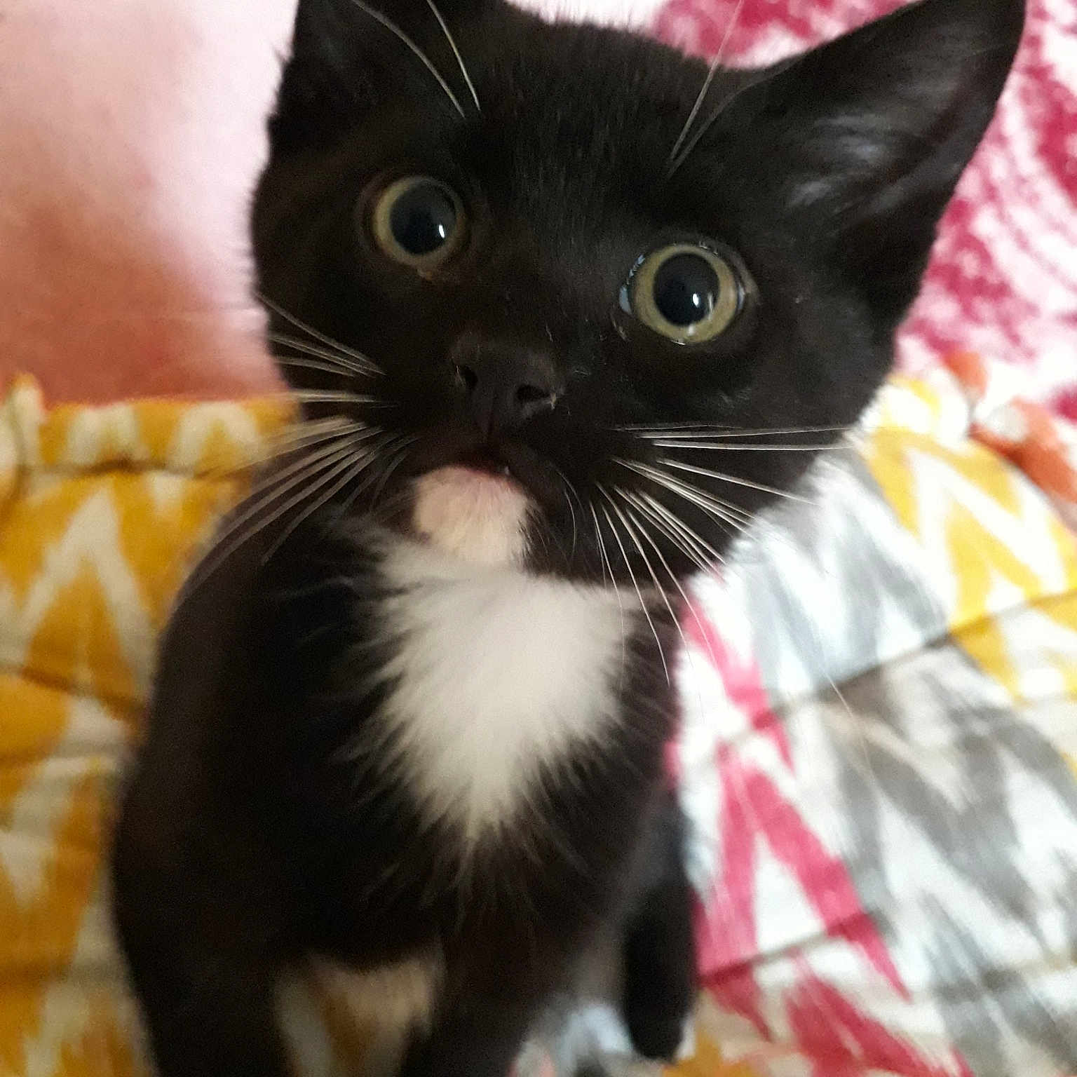 Nina